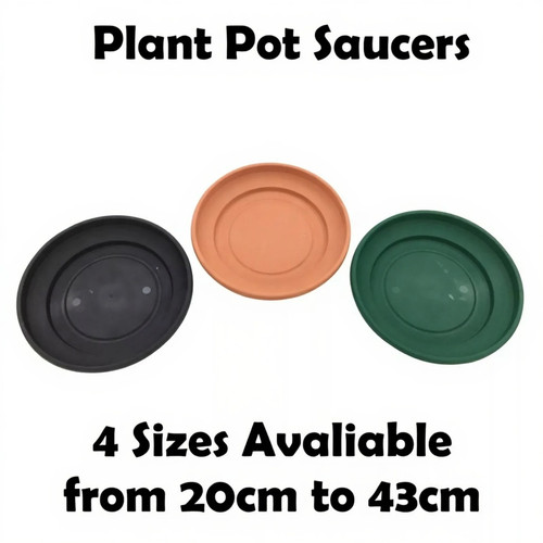 Plant pot saucer - plant,