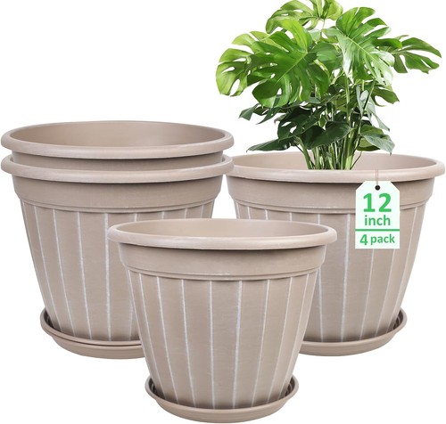 Inch pots for plants - inch, plants,4