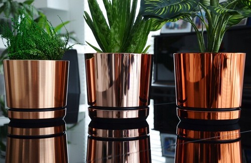 Modern plastic plant - modern, pot