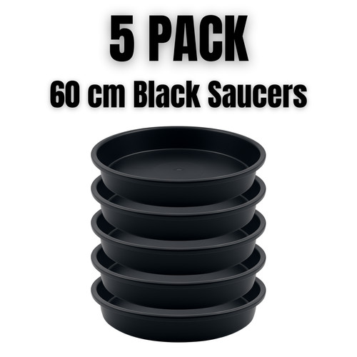 Plant pot saucers pack cm - plant,