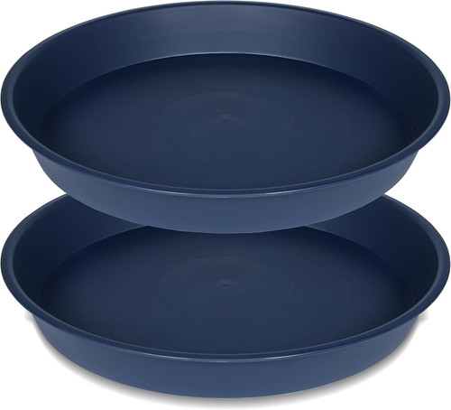 Pack 19 inch plant - 2,