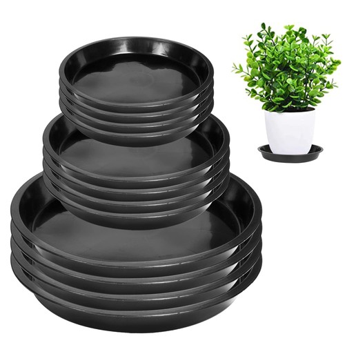 Inch plant saucer - 8,
