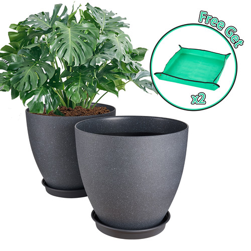 Gardrium 2pcs plant flower - 2pcs,