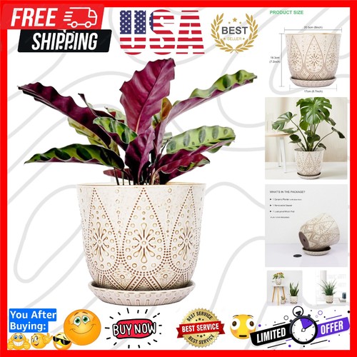 Inch plant pot - inch, pot,