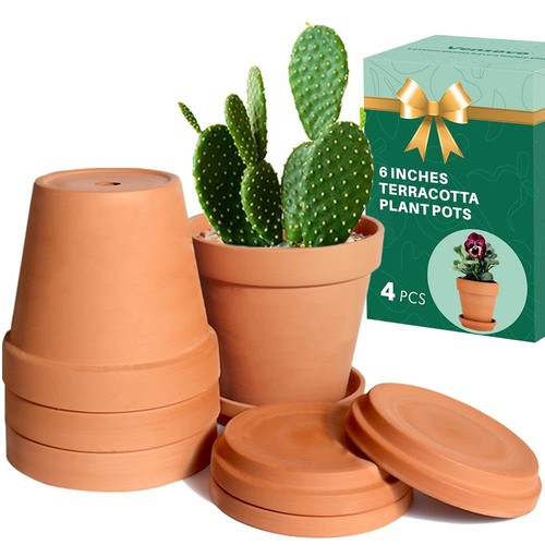 Clay pot for plant - clay, saucer