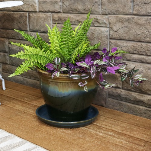 Ceramic plant saucers for - plant,