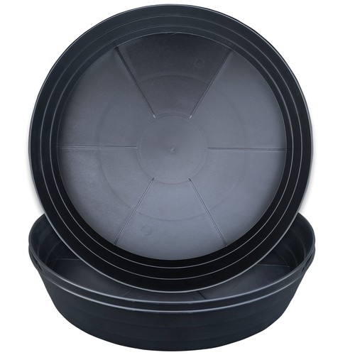 Extra large 20inch plant - large,