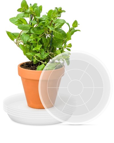 Pacetap inch pack - pacetap, 12