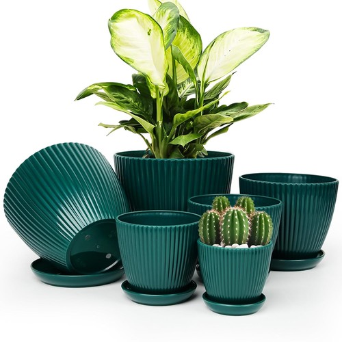 Plant pots indoor with saucers - with,
