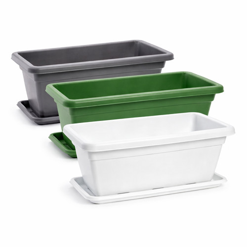Large trough plant - trough, pot