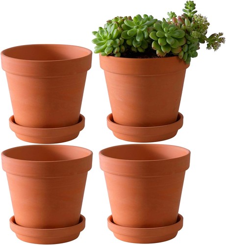 Large terra cotta pots - terra,