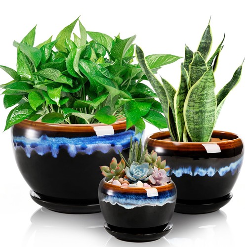 Pack ceramic flower - 3,