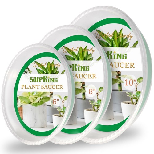Pack plant saucers 6inch - plant,