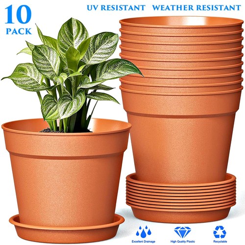 Pack terracotta plastic - 10,