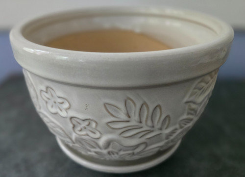 Large cream colored plant pot - plant,