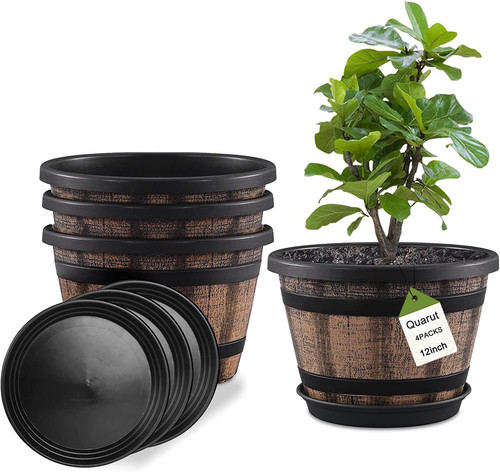 Pack inch plant - inch,